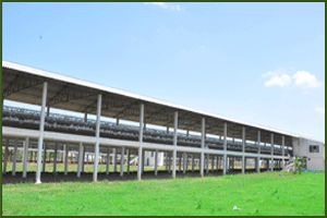 poultry breeding farms in tamilnadu